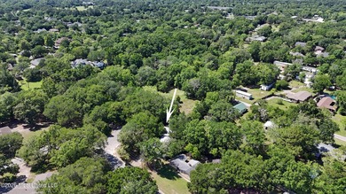 Welcome to this beautiful, spacious, 3-bedroom, 2 bath home in - photo 31