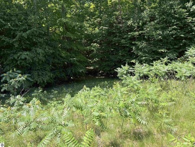 Build your Northern Michigan dream home in one of Suttons Bay's - photo 7