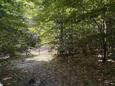 Build your Northern Michigan dream home in one of Suttons Bay's - photo 10
