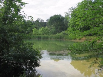 (private lake) Acreage For Sale in Liberty Township Ohio