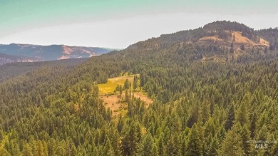 North Idaho Legacy: 90 acres across three separate parcels short - photo 49