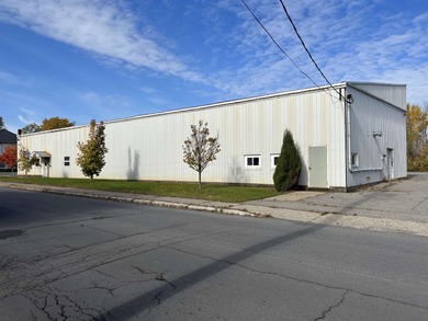 (private lake, pond, coastal) Commercial For Sale in Massena New York