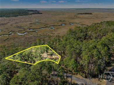 South Newport River - McIntosh County Lot For Sale in Townsend Georgia