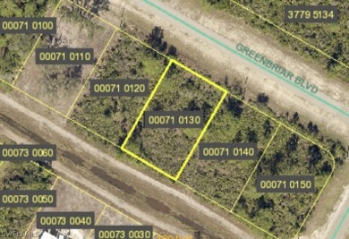 Lehigh Acres Area Lot For Sale in Lehigh Acres Florida