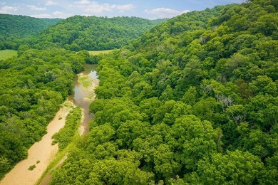 Discover 21.5 acres of untouched Tennessee countryside on Spring - photo 12
