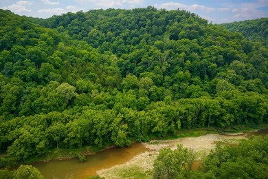 Discover 21.5 acres of untouched Tennessee countryside on Spring - photo 14