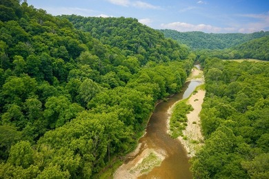 Discover 21.5 acres of untouched Tennessee countryside on Spring - photo 15