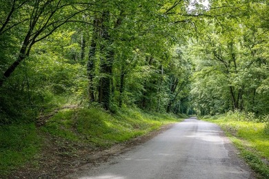 Discover 21.5 acres of untouched Tennessee countryside on Spring - photo 18