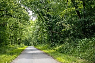 Discover 21.5 acres of untouched Tennessee countryside on Spring - photo 19