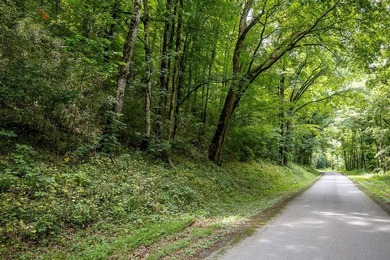 Discover 21.5 acres of untouched Tennessee countryside on Spring - photo 20
