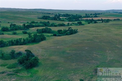 (private lake, pond, creek) Acreage For Sale in  Montana