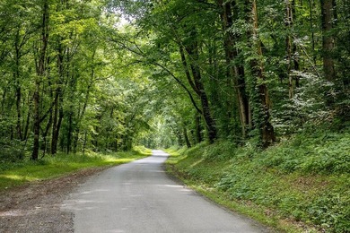 Discover 21.5 acres of untouched Tennessee countryside on Spring - photo 21