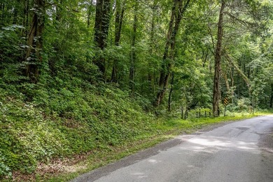 Discover 21.5 acres of untouched Tennessee countryside on Spring - photo 22