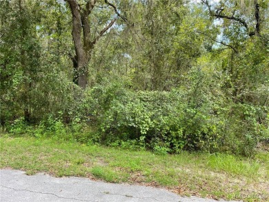 Lake Lot For Sale in Dunnellon, Florida