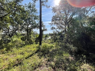 AWESOME LAKE FRONT PROPERTY ON A BIT MORE THAN 1/2 ACRE (0.52 - photo 5