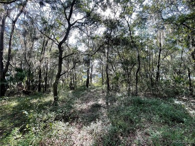 AWESOME LAKE FRONT PROPERTY ON A BIT MORE THAN 1/2 ACRE (0.52 - photo 7