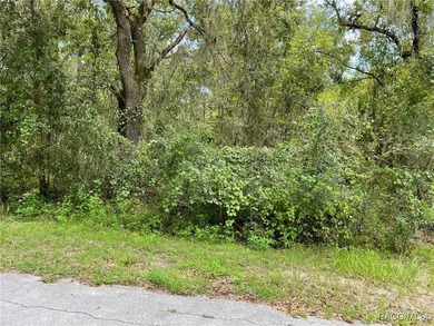 AWESOME LAKE FRONT PROPERTY ON A BIT MORE THAN 1/2 ACRE (0.52 - photo 9