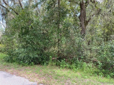 AWESOME LAKE FRONT PROPERTY ON A BIT MORE THAN 1/2 ACRE (0.52 - photo 10