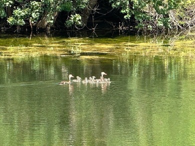 (private lake, pond, creek) Acreage For Sale in Round Top Texas