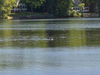 Perched on a 1-acre lot with a truly million-dollar, 180 view of - photo 22