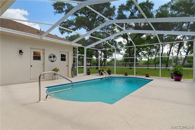 **Stunning Pool Home in Spring Hill's Pristine Place**Discover - photo 22