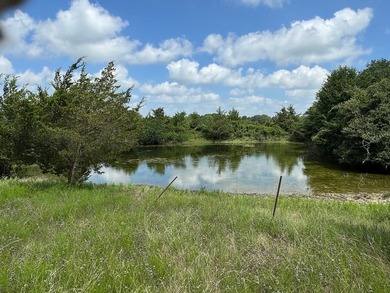 DRASTIC REDUCTION: Located just outside of Round Top (3.5 miles) - photo 2