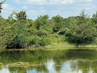 DRASTIC REDUCTION: Located just outside of Round Top (3.5 miles) - photo 3