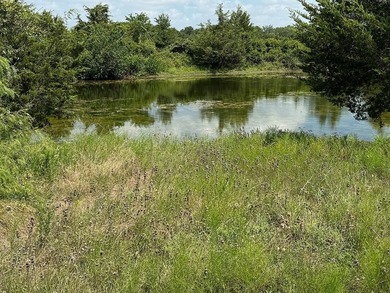 DRASTIC REDUCTION: Located just outside of Round Top (3.5 miles) - photo 4