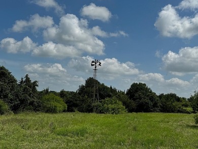 DRASTIC REDUCTION: Located just outside of Round Top (3.5 miles) - photo 6