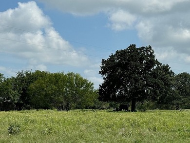 DRASTIC REDUCTION: Located just outside of Round Top (3.5 miles) - photo 7