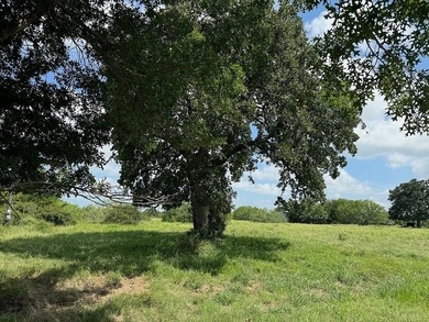 DRASTIC REDUCTION: Located just outside of Round Top (3.5 miles) - photo 8