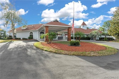 **Stunning Pool Home in Spring Hill's Pristine Place**Discover - photo 38