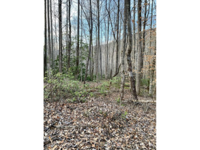 Fontana Lake Lot For Sale in Robbinsville North Carolina
