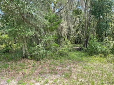 Lake Lot For Sale in Dunnellon, Florida