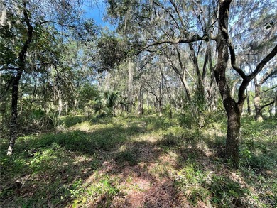 AWESOME LAKE FRONT PROPERTY ON A BIT MORE THAN 1/2 ACRE (0.52 - photo 4