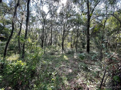 AWESOME LAKE FRONT PROPERTY ON A BIT MORE THAN 1/2 ACRE (0.52 - photo 6
