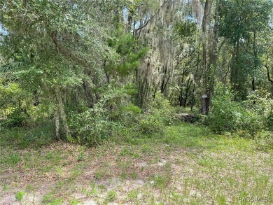 AWESOME LAKE FRONT PROPERTY ON A BIT MORE THAN 1/2 ACRE (0.52 - photo 8