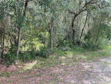 AWESOME LAKE FRONT PROPERTY ON A BIT MORE THAN 1/2 ACRE (0.52 - photo 9
