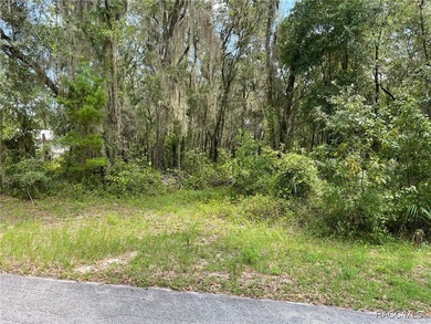 AWESOME LAKE FRONT PROPERTY ON A BIT MORE THAN 1/2 ACRE (0.52 - photo 10