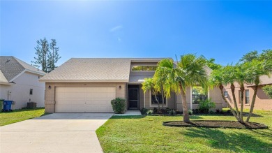 Lake Home Sale Pending in Bradenton, Florida
