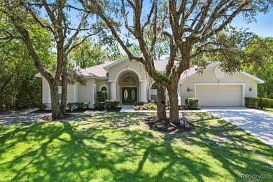 Immaculate Custom Pool Home in Sugarmill Woods - Move-In Ready! - photo 1