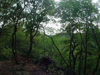 Perfect location with a nice wooded lot to build your dream home - photo 2