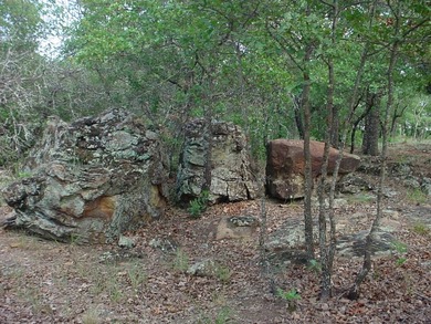 Perfect location with a nice wooded lot to build your dream home - photo 3