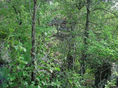 Perfect location with a nice wooded lot to build your dream home - photo 5
