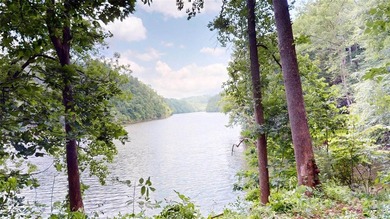 Welcome to your dream property! Nestled along the pristine - photo 8