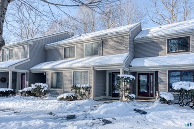 Lake Condo For Sale in Winchester, Connecticut