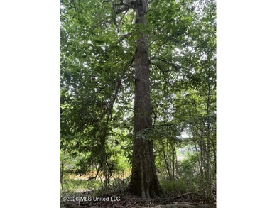 Have you been searching for that perfectly located piece of - photo 8