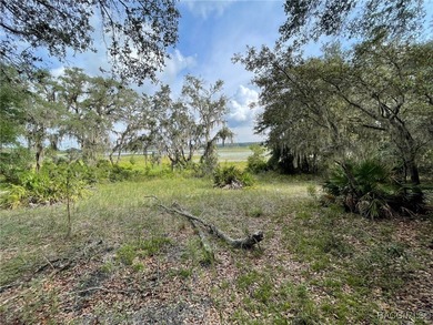 AWESOME LAKE FRONT PROPERTY ON A BIT LESS THAN 1/2 ACRE (0.41 - photo 3