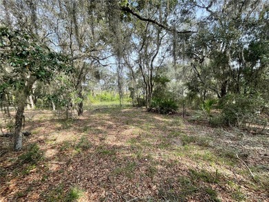 AWESOME LAKE FRONT PROPERTY ON A BIT LESS THAN 1/2 ACRE (0.41 - photo 4