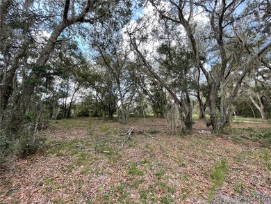 AWESOME LAKE FRONT PROPERTY ON A BIT LESS THAN 1/2 ACRE (0.41 - photo 5